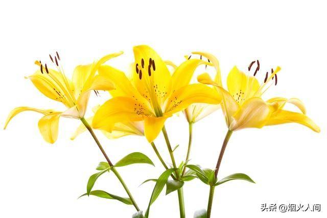 原创            你爱的男人，是不是真的爱你，看一个地方心里就有数了！