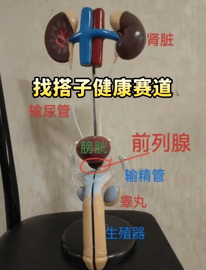 30+男性健康拉警报！忽视问题险中招，科学调理重焕活力