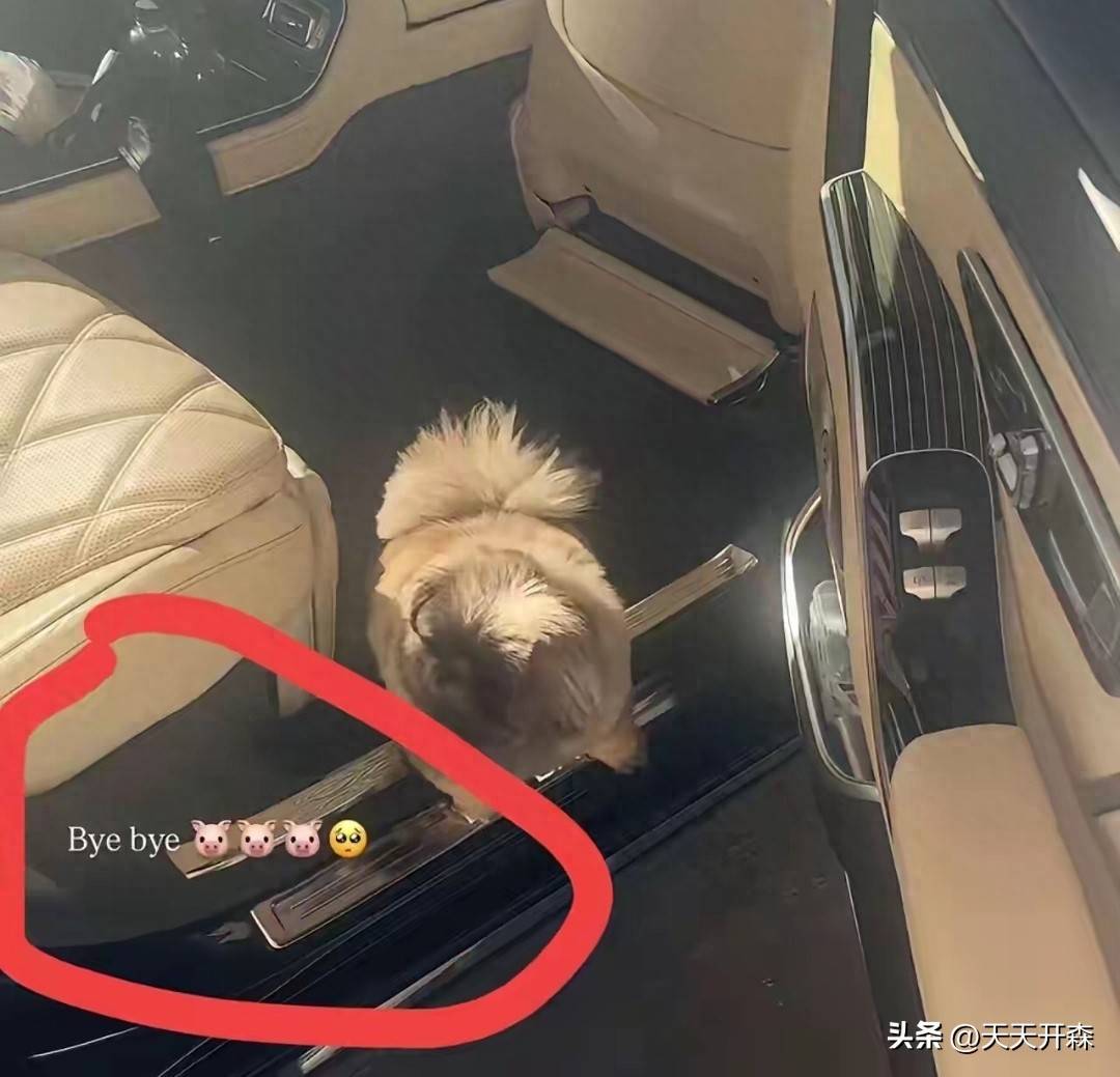 原创            汪小菲陪孩子过节，小玥儿剪短发真漂亮，马筱梅亲自买菜准备大餐