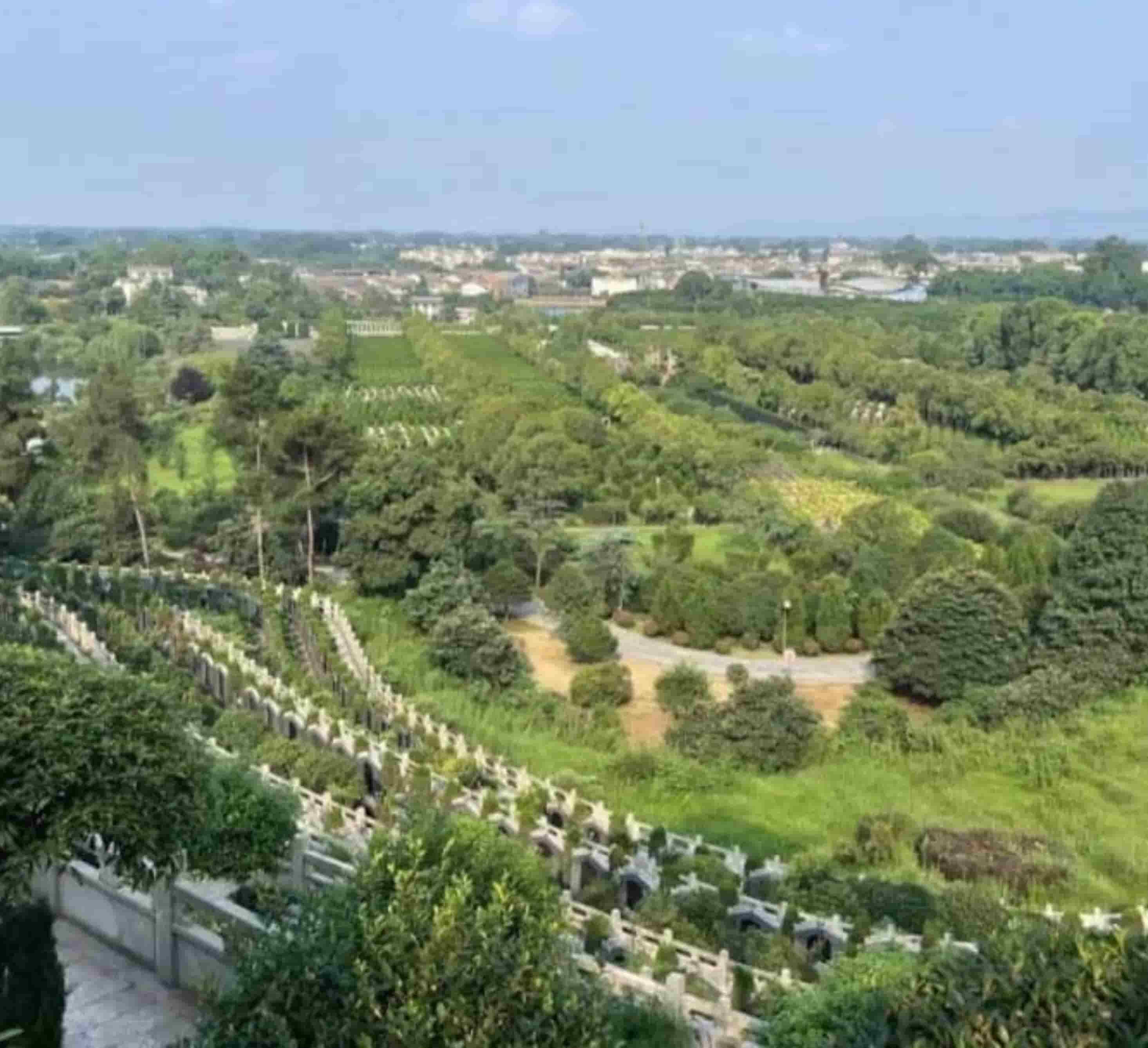 红枫艺术陵园公墓销售电话是多少？