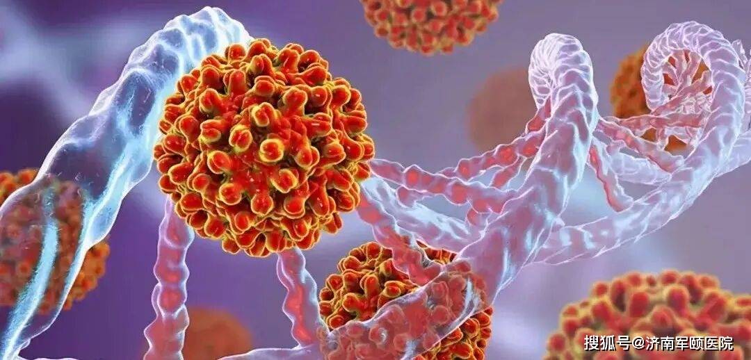 男性 HPV 感染知多少？教你科学认识、理性应对