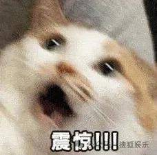 原创            她引以为傲的婆婆在美国也被抓了，豪门梦彻底碎掉？