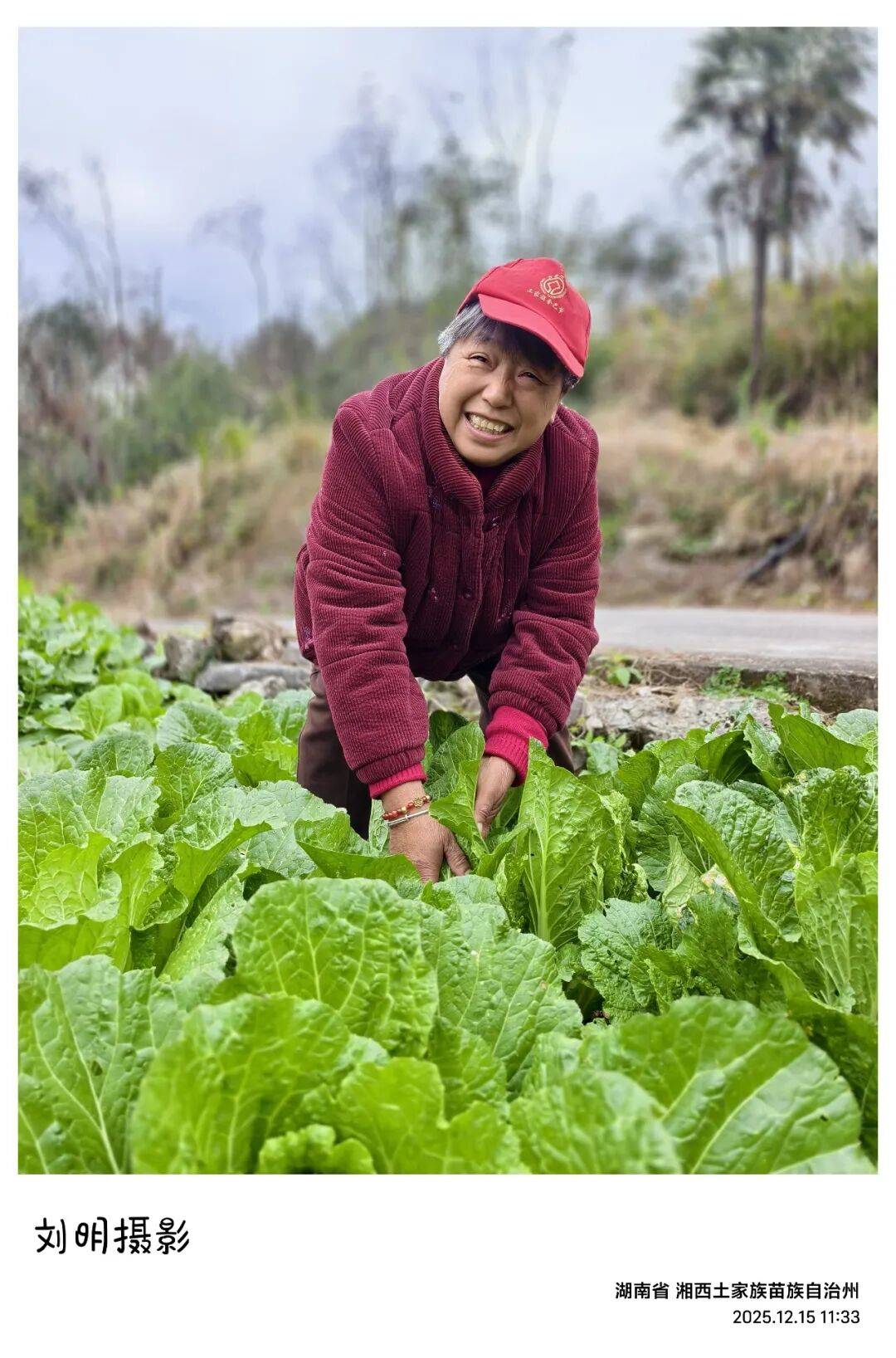 父亲走了，母亲守着，湘西木屋炊烟在......