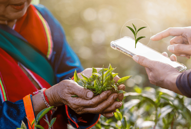 茶馆数据分析入门：用AI看懂客户喜欢什么茶内容
