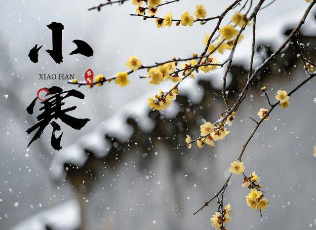 “小寒4不吃，吃了冬难安”，1月5号小寒，哪4不吃？应时节乐过冬