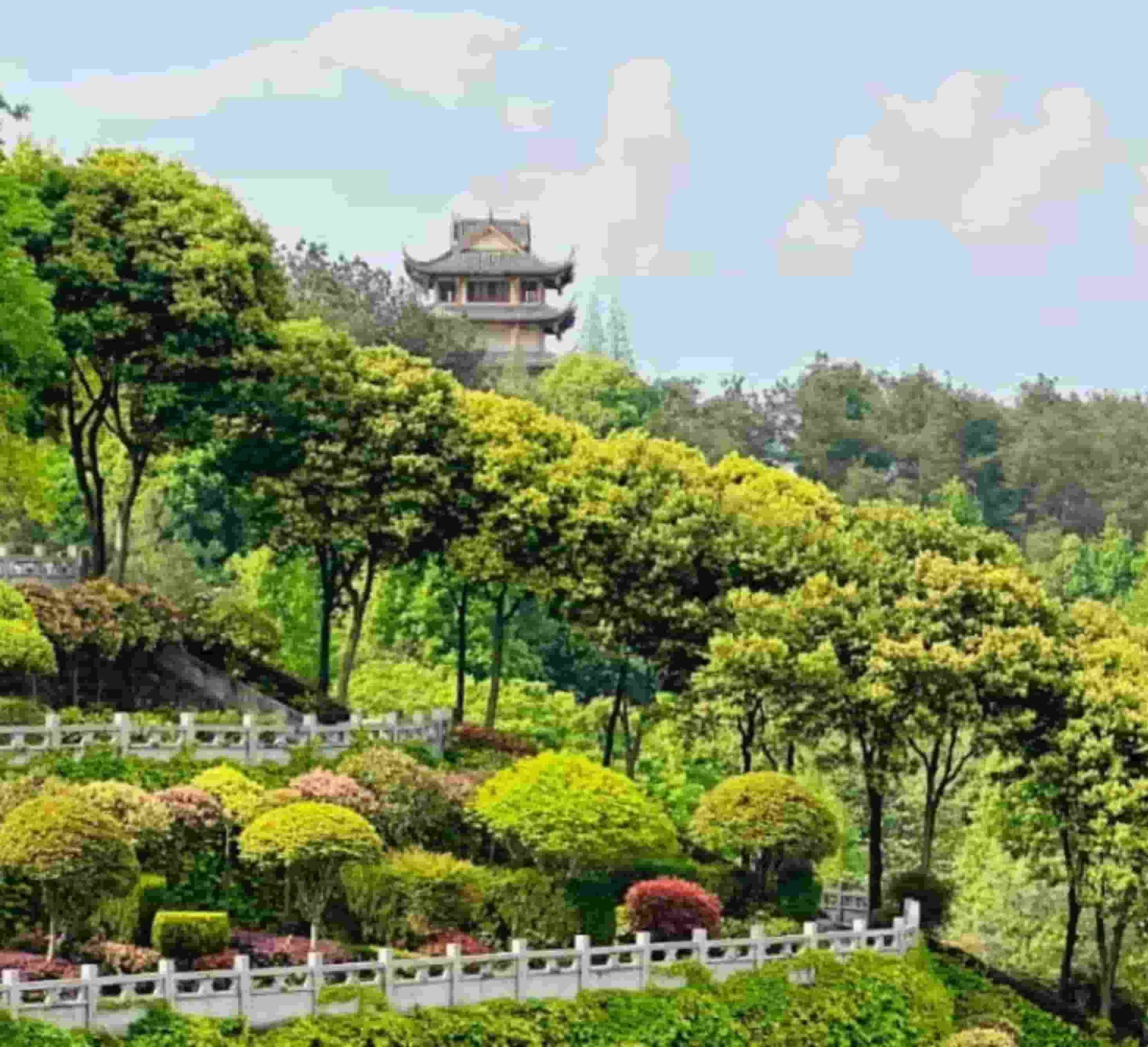 红枫艺术陵园年公墓价格全解析