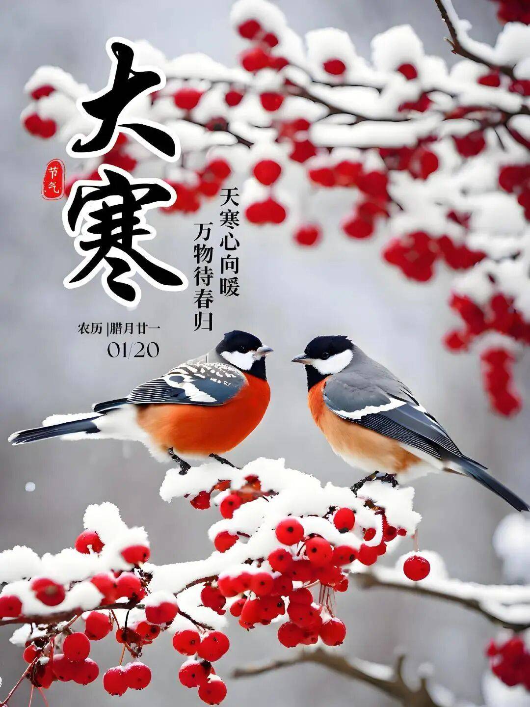 大寒至，风险藏！一份大寒防护指南，护住全家健康迎新春