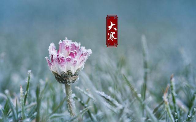 明天大寒，60年一遇不一般，建议吃2样，喝2样，做2事，乐过寒冬