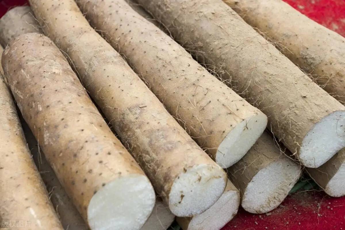 原创            脾胃是后天之本！6 种家常健脾胃食物要常吃，温和滋养好吸收