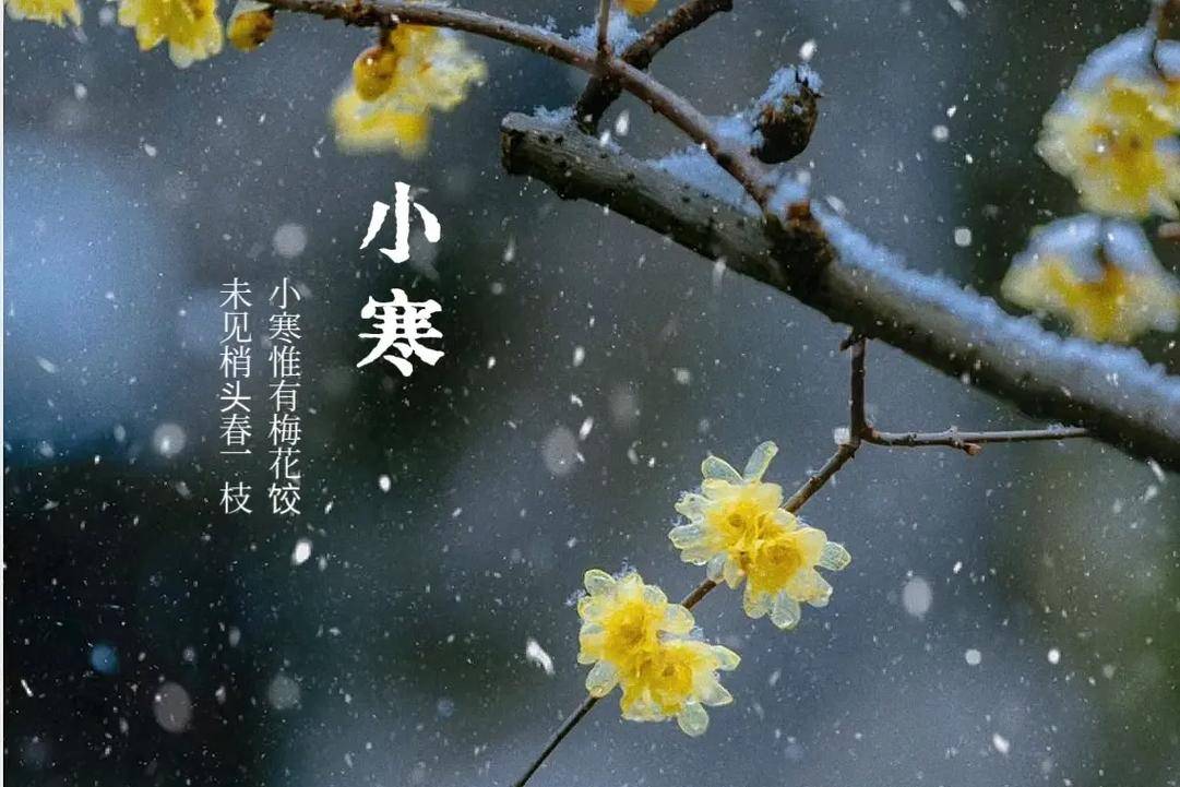 原创            明日小寒，养生牢记“吃3样，喝3样，做3事”，温补驱寒安稳过寒冬