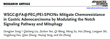 突破胃癌化疗耐药！WSGC 纳米递药系统靶向 Notch-线粒体自噬轴