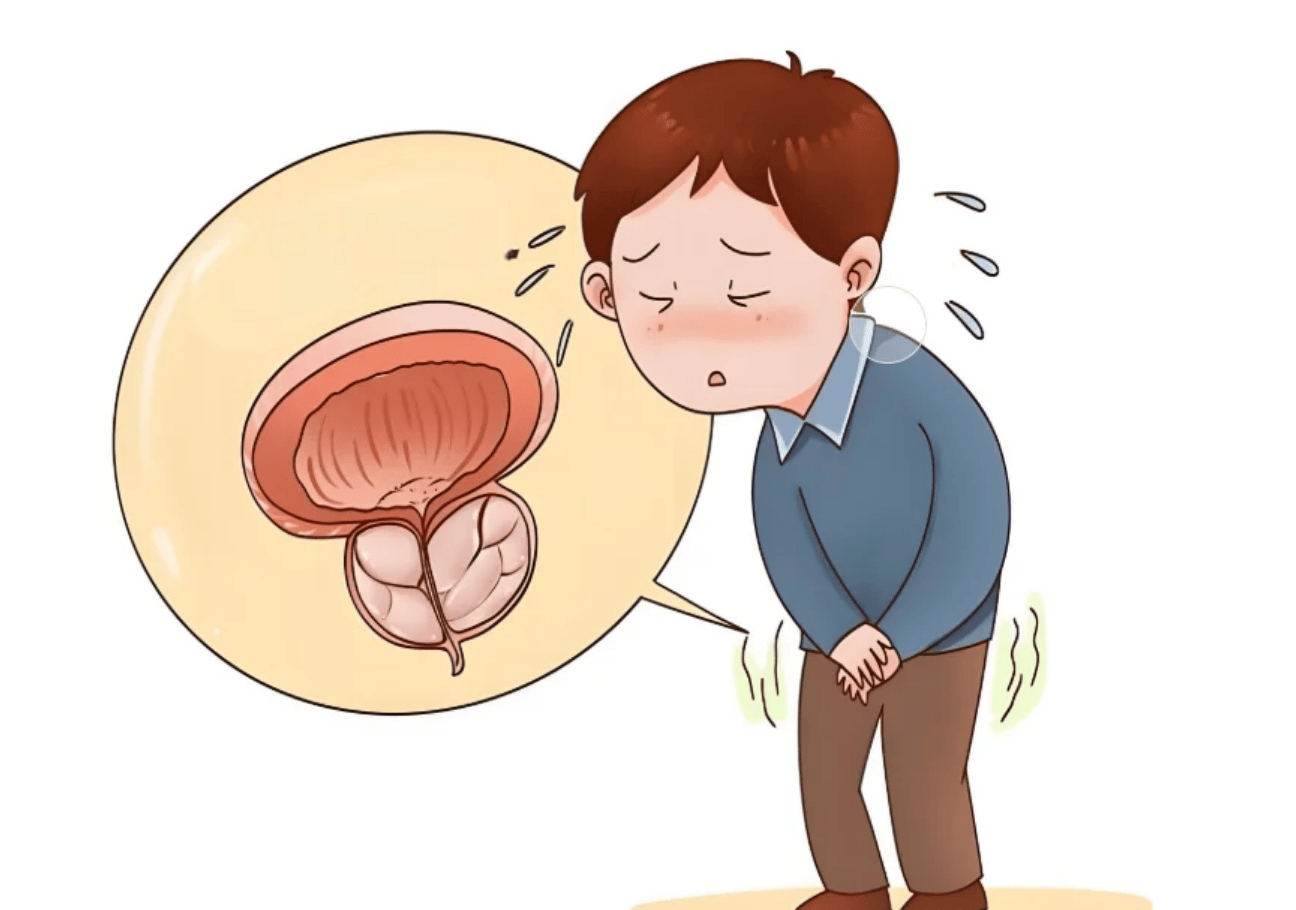 中年男性“腺”状告急！国外产品能否救场？养生正道在哪？