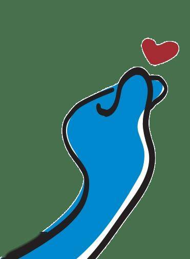 患者朋友请留意！1月9日晚医院医保结算服务将暂停2小时