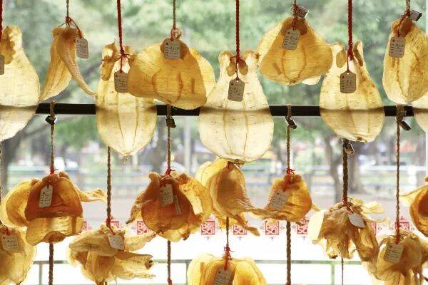 一碗鱼胶补血美容，胜过10瓶化妆品，看完你就懂了！