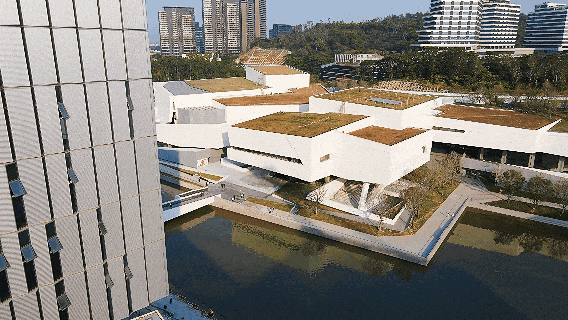 湾区地标+1！鹭湖艺术中心今日开幕