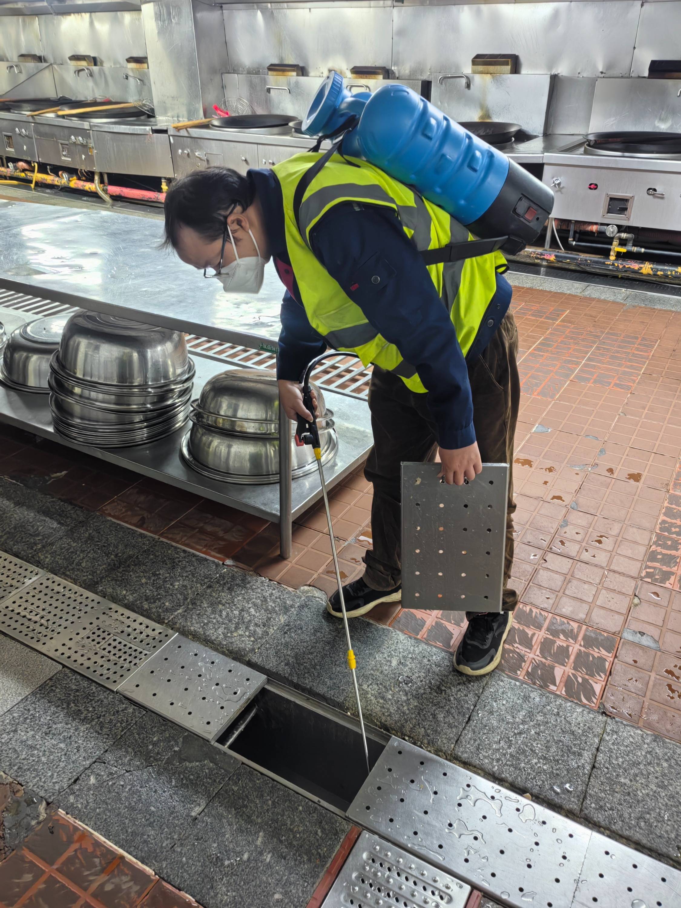 东莞茶山灭白蚁电话