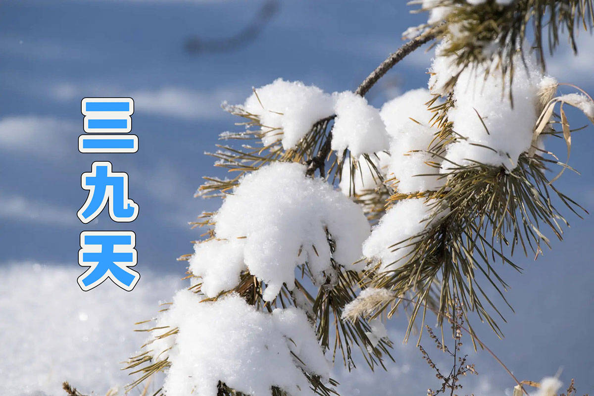 原创            三九天，最该吃的不是牛羊肉，而是这4样，气血双补，温而不燥，暖胃驱寒，轻松度过最冷天