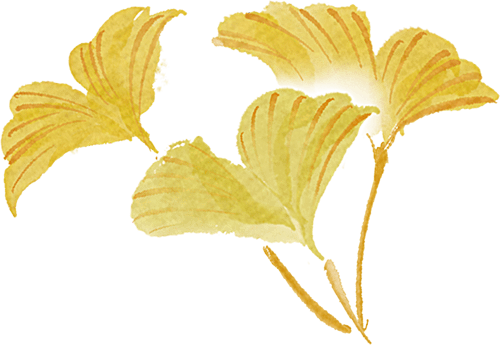 园林之美——《中式园林的秩序》新书分享会