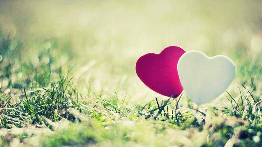 夜读 | 达西：堆积幸福