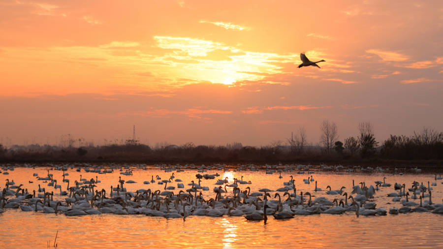 微言 | “镜” 止伤害：艺术不可凌驾生命之上