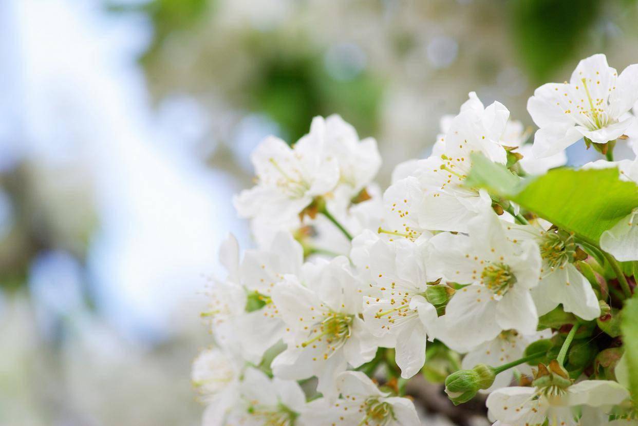 原创            征服一个男人，这样“冷落”他，他会离不开你