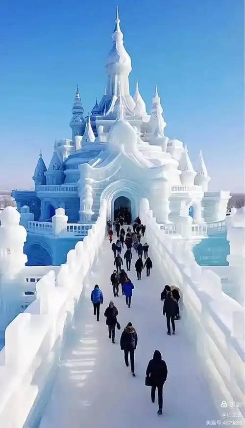 哈尔滨情侣定制游！伏尔加庄园+冰雪写真6天5晚浪漫打卡，亲测靠谱零套路，年轻人好评如潮
