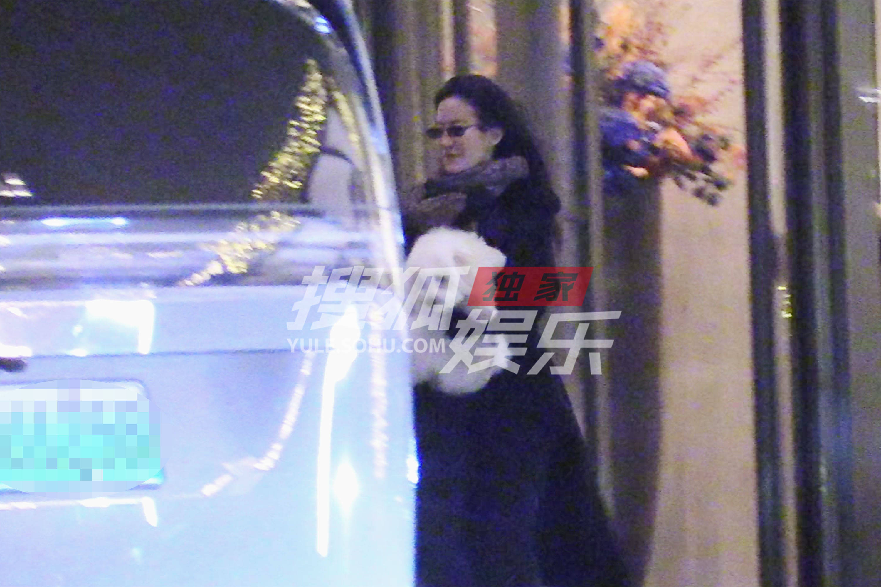 刘亦菲抱狗狗出门超轻盈 风中凌乱也飒美迷人