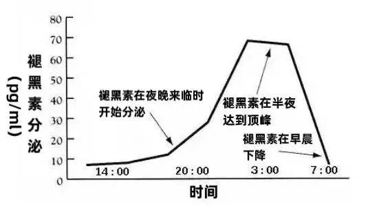最简单的“减肥法”！做对这一点，比“少吃”还管用