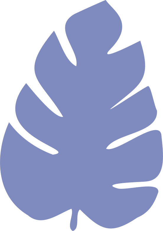 活动预告 | 在历史的缝隙里寻找姓名——《她们的西南联大岁月》新书分享会