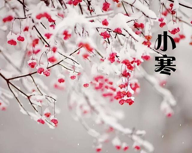 原创            小寒将至，再忙也要吃“小寒4宝”，尊重传统，滋补暖身健康过年