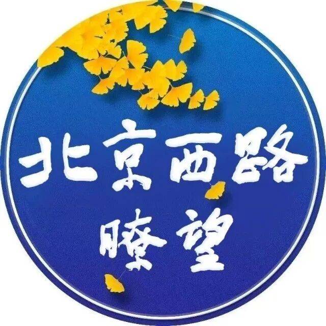 文化讲坛｜华人德：书法创作，为何讲求“非法非非法”？