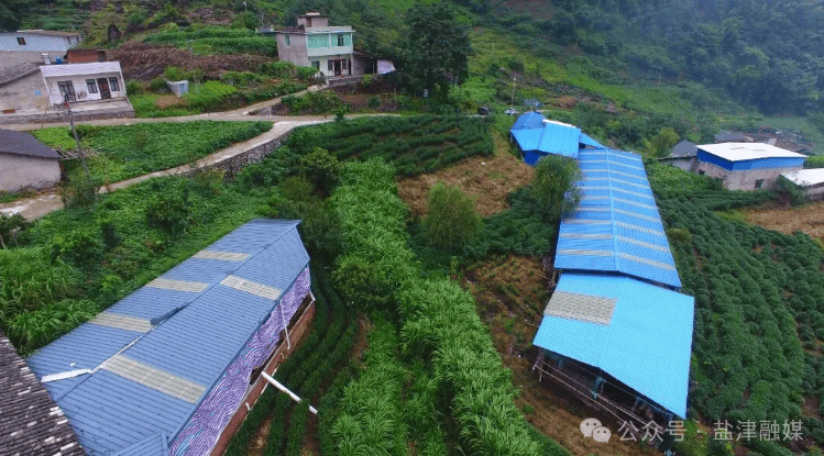 牛寨龙茶村：“四新举措”探路循环农业新范式