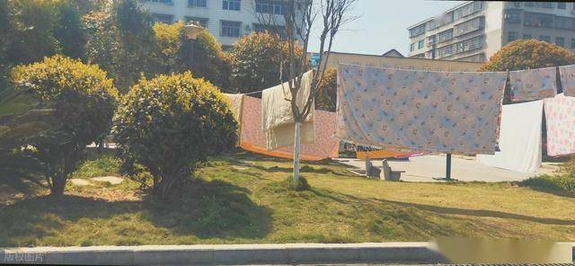 不是迷信！20号大寒，牢记1不晒，2不做，3多吃，安康迎新春！