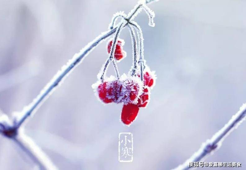 原创            快小寒了，记得吃“３白3红3黄，少吃3样”，顺应时节，舒坦过冬！