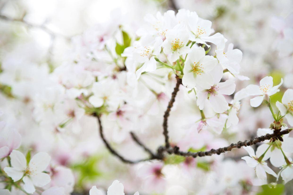 原创            男人不爱你，才会有的这些反应，忍不住