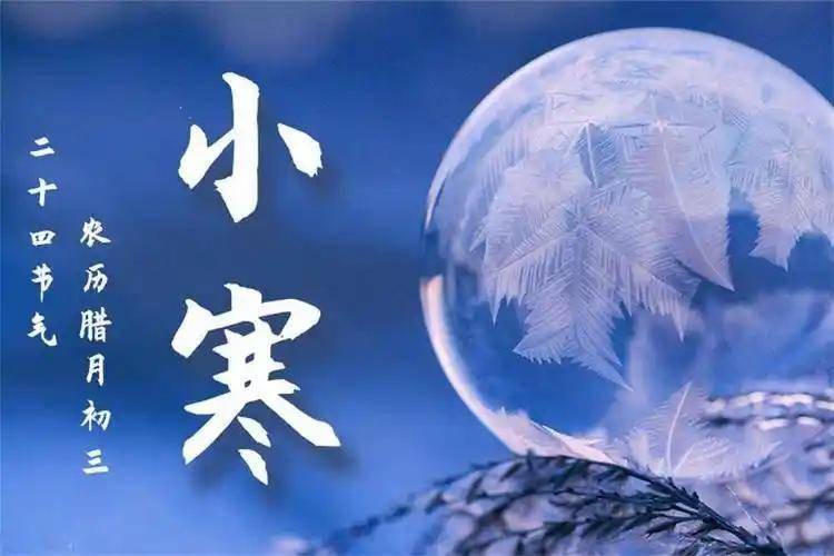 原创            小寒之后的15天，身体最怕你硬扛，开启猫冬模式