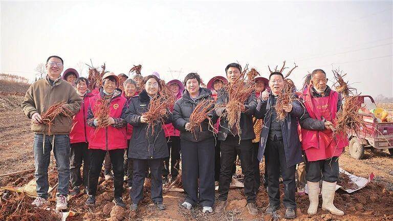 从彩陶红到丹参红 一色贯穿七千年