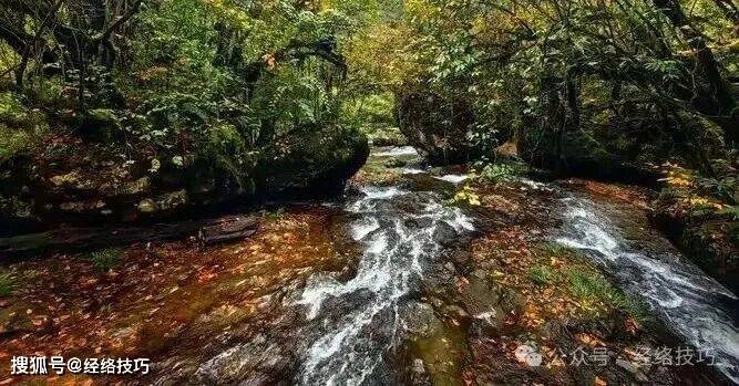 原创            上身暖和下身凉？多拍拍这条“老寒沟”，让气血自然流动起来！