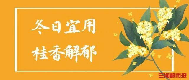 冬日情绪低落？不妨试试桂花解郁