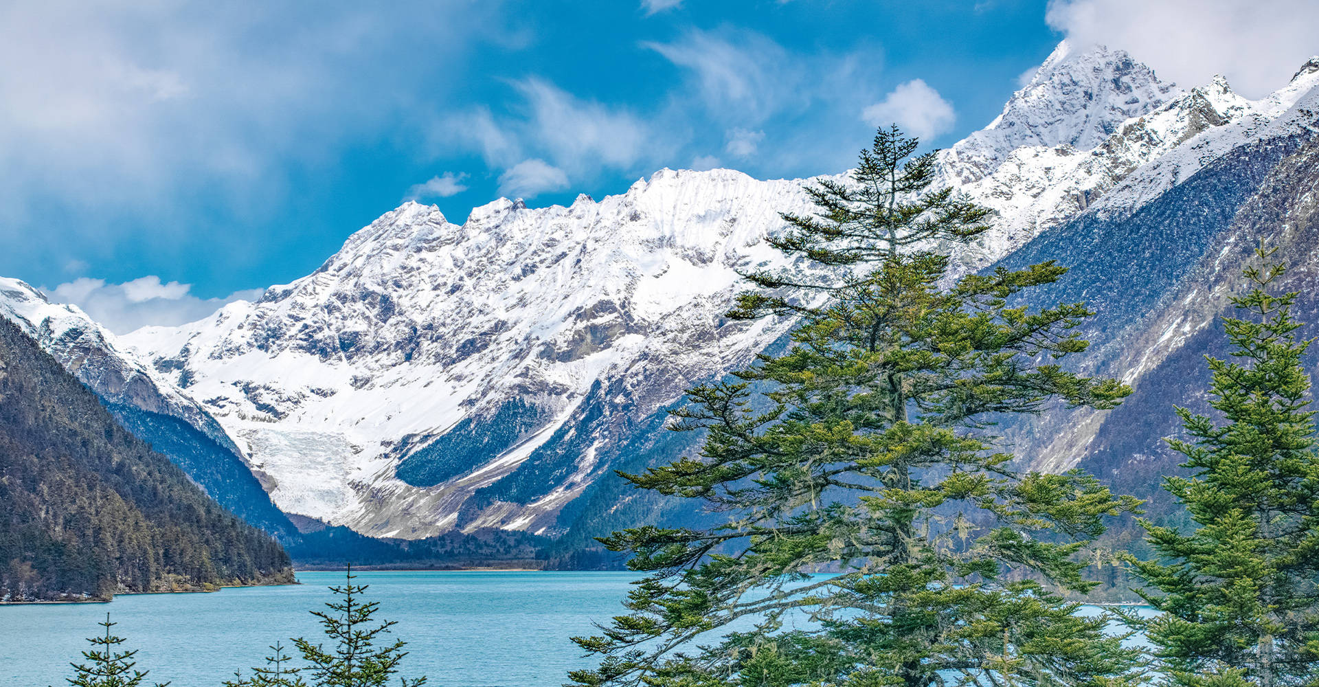 母婴垂直领域市占率48.58%：这家平台凭什么成为领军者？