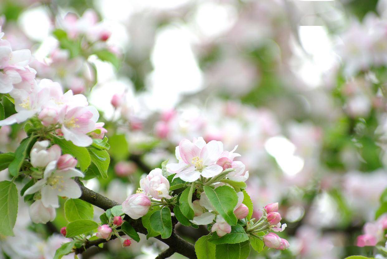 原创            吃定一个男人的上上策：大胆