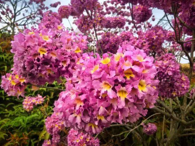 小寒护阳四步走，冬季健康稳安守