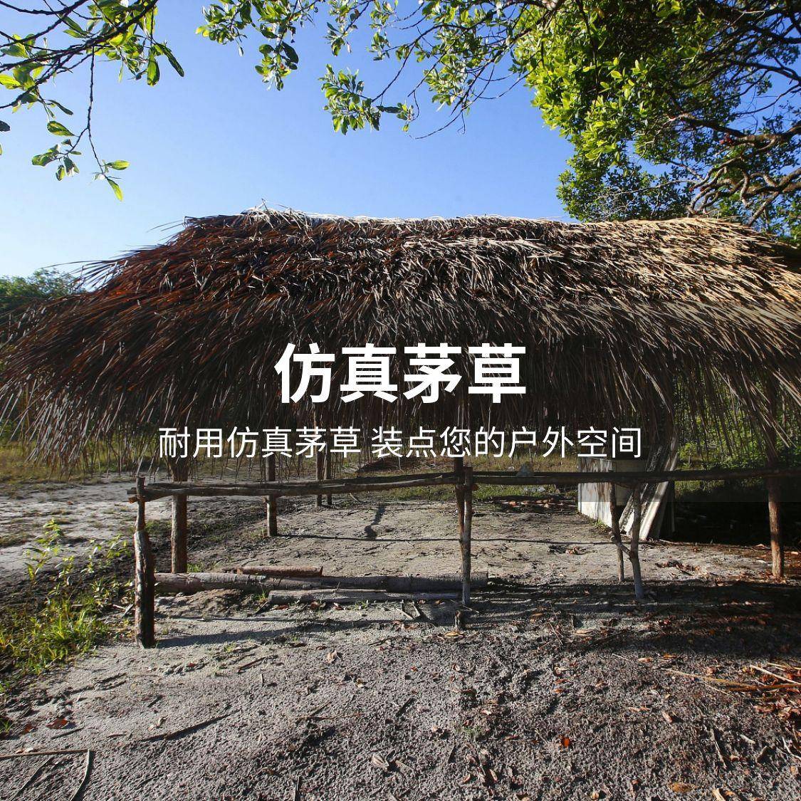 厦门泰斯科技有限公司：仿真竹编及PVC/塑料/景区/吊顶竹席专业制造，行业应用广泛