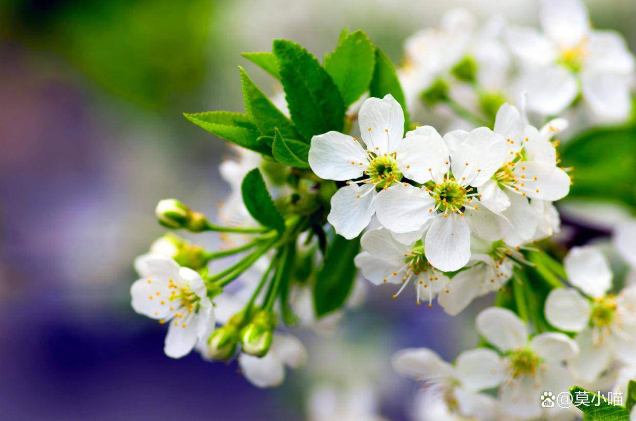 原创            男人见面时的4个“小动作”，无疑是动情了，喜欢就别错过