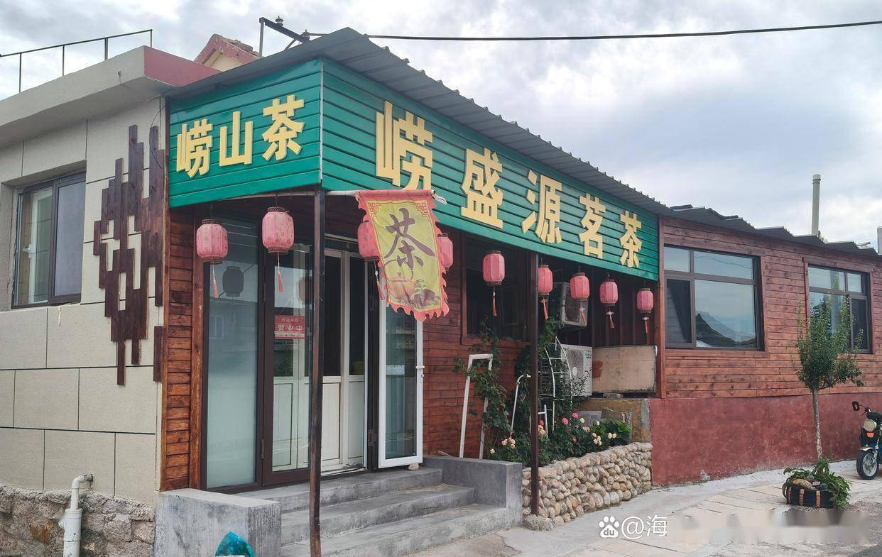 在崂山，遇见一杯有故事的茶｜崂盛源茗茶·老兵匠心守味山海之间