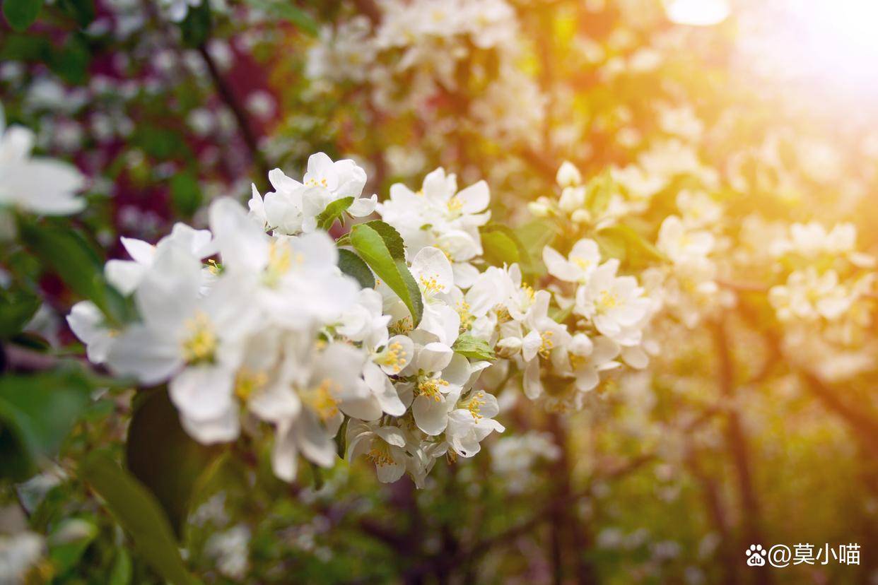 原创            让男人爱到上头的妙招：冷落