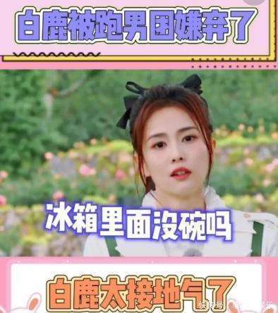 原创            当初白鹿在跑男遭到的嘲笑，杨紫用冰箱剩菜打脸了众人
