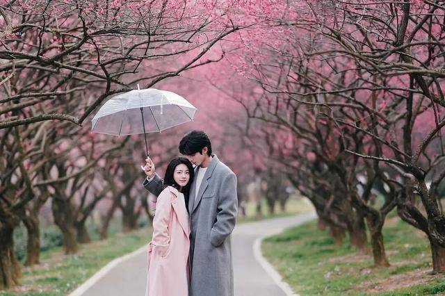 重回大众视线的马思纯，又让人看不懂了