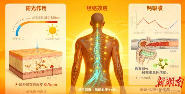 冬天晒背真能补钙？中医专家揭秘“阳光维生素”的正确获取方式
