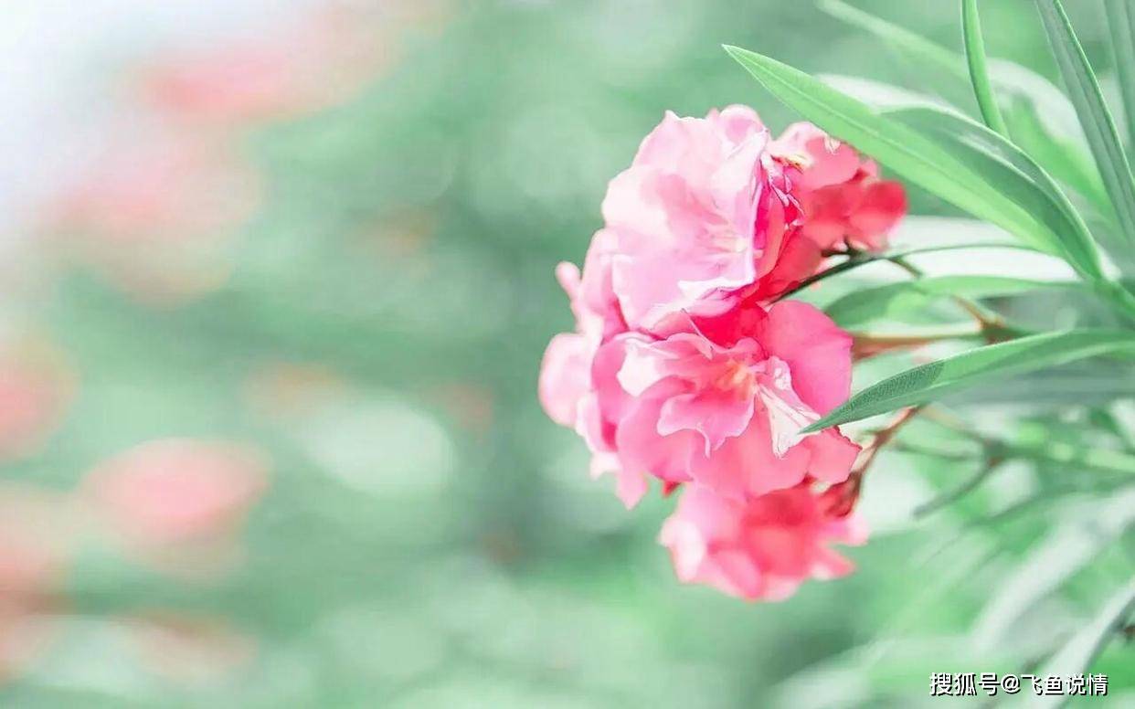 原创            男人真心在乎你，想和你一辈子，才会有这三个表现，很真实